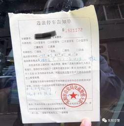持证民警最新爆料,一线执法背后的真实故事