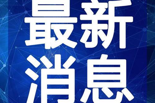 海莉最新爆料新闻视频,揭秘背后惊人真相！