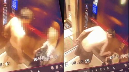 网红男生爆料视频大全最新,揭秘网络红人幕后真相