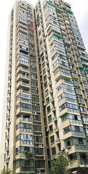 杭州小区最新爆料,业主爆料，真相令人震惊！